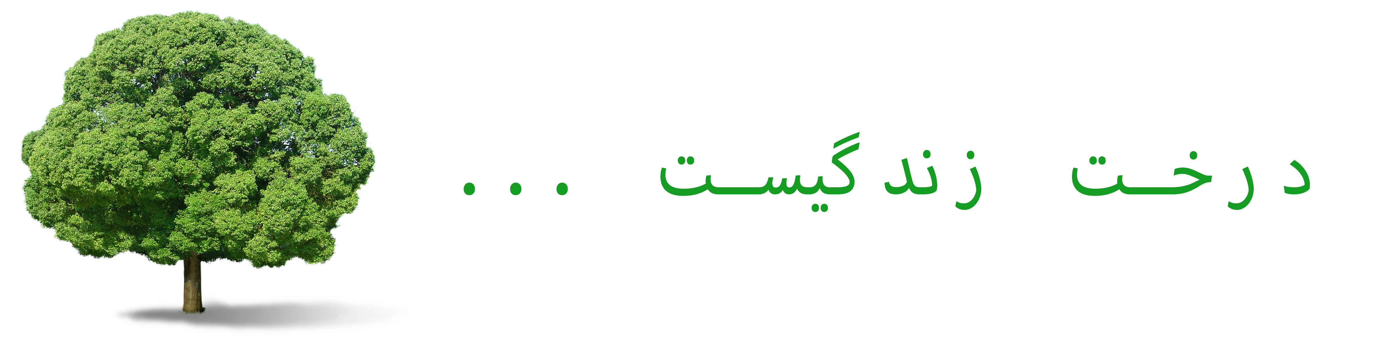 درخت زندگیست ...